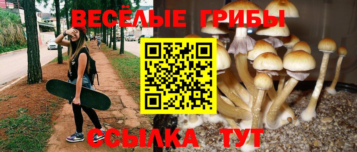 Бошки Шишки  LSD-25  МЕФ кристаллы  Нальчик  Вход с VPN  КОКАИН  АМФЕТАМИН кристаллы  ГАШИШ 